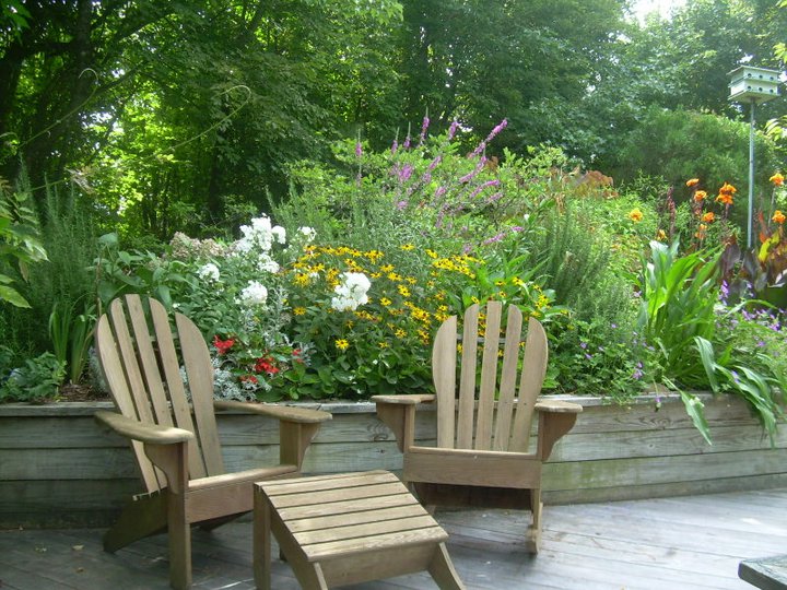 chairs relaxing backyard
