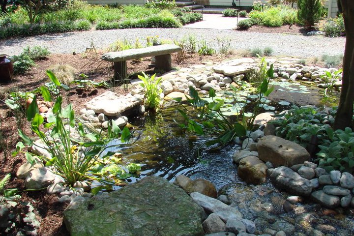 backyard pond water feature